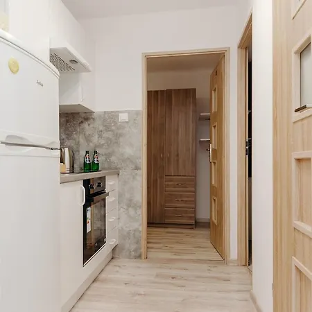 דירה Shortstaypoland Krochmalna *